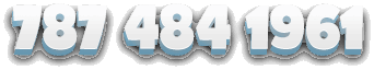 787 484 1961